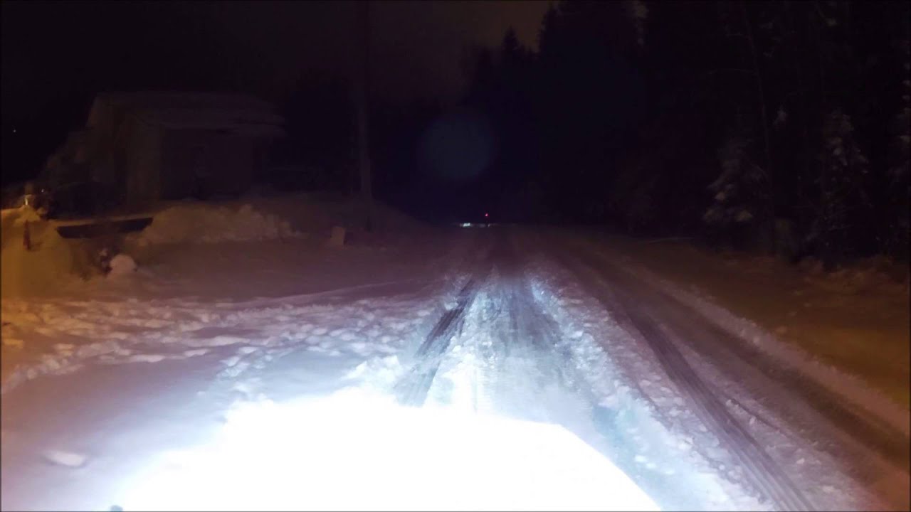 Luontomi Yörogaining 081114