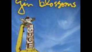 Gin Blossoms- Someday Soon chords