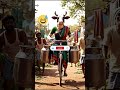 🔥 😲 The Cow on a Bicycle 🚲 🐄 #shorts #youtubeshorts #viral