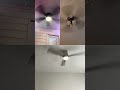 Collab with flu￼sh mount fans!