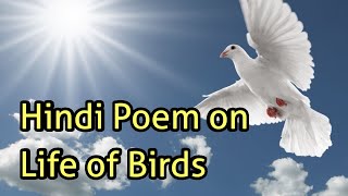 hindi poem birds
