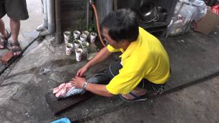 1020615熱情的澎湖ㄚ伯殺魚秀