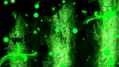 Adobe After Effects CS5 Intro