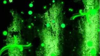 Adobe After Effects CS5 Intro