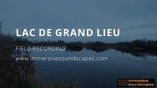 WILDLIFE 2022 first recording - NATURAL RESERVE - Lac de grand lieu - High quality sound effects screenshot 5