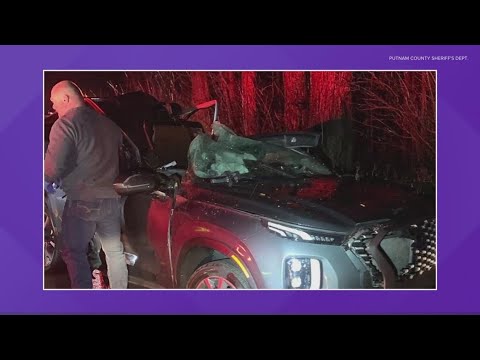 2 killed after tree falls on car - YouTube