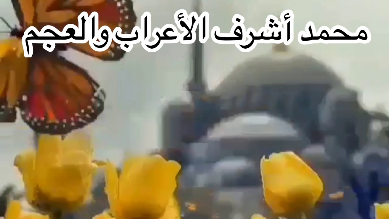 нашиды ибрагима абдурахманова