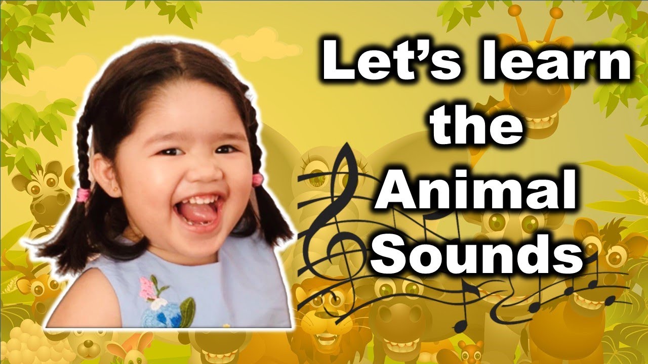 Learning the Animal Sounds YouTube