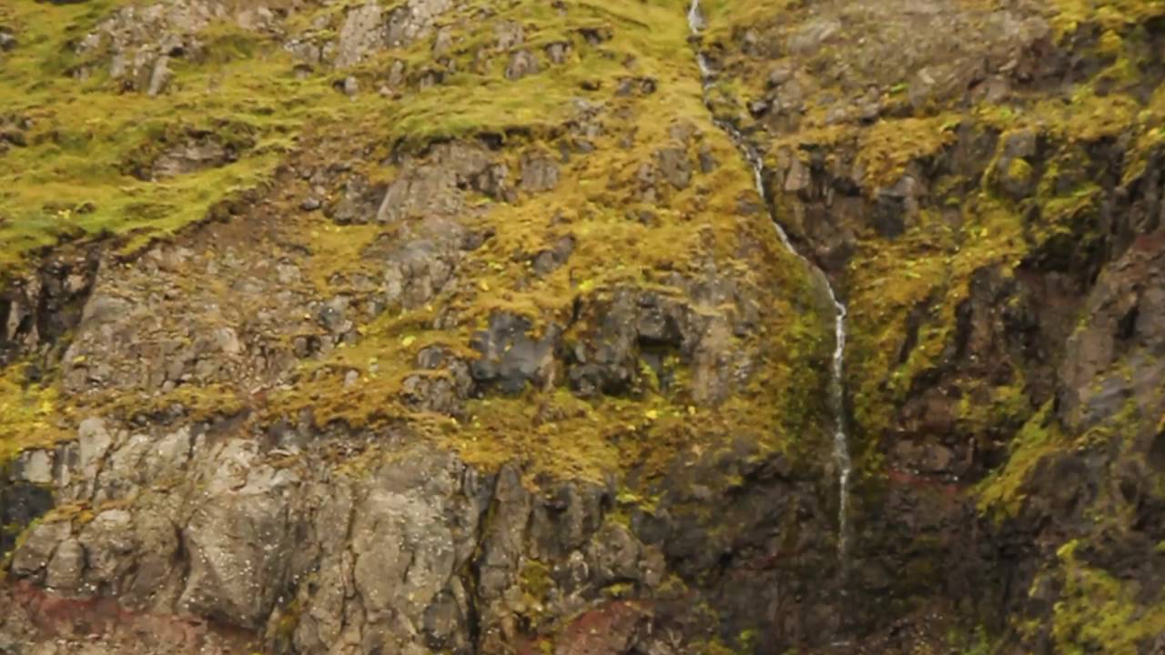 camera iphone 8 plus apk Yellow stone
