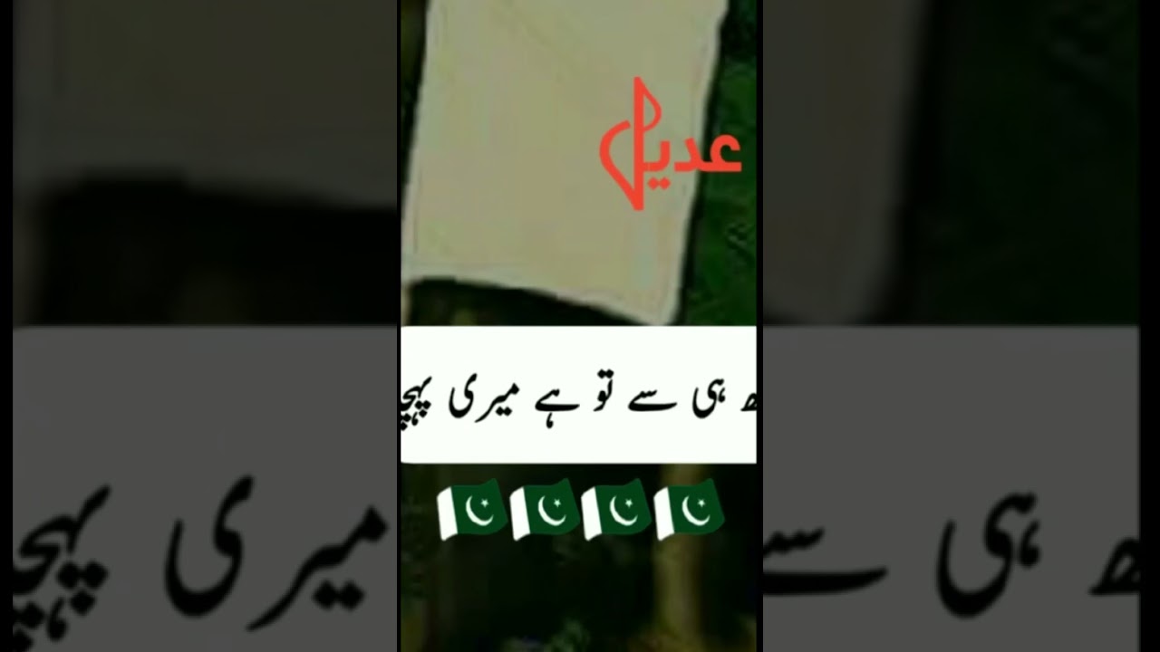 14 August1947 Ka status😍😍new poetry