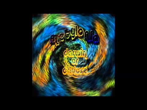 Metylonia - Darwin or Darlose