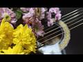 Musiсal Spring Stream by Irami