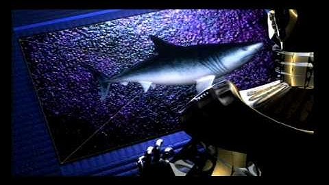 Maya 1.0 animation from 1998 made on a SGI Octane