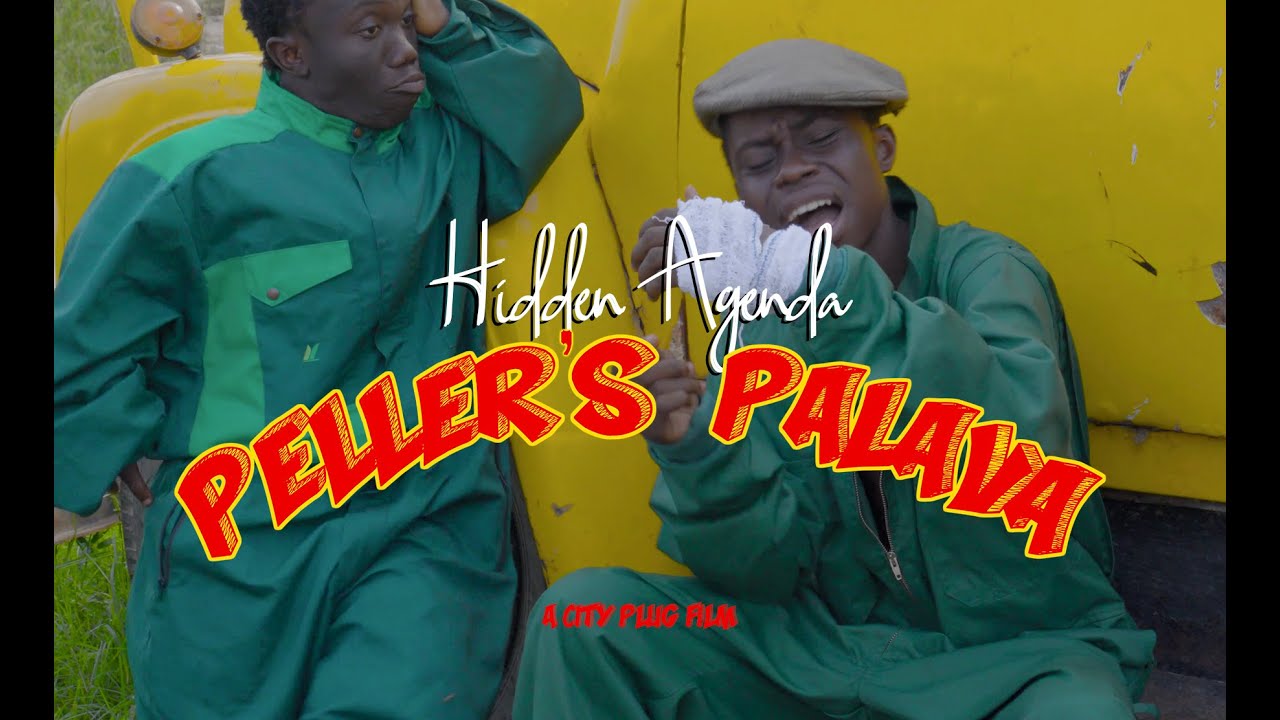 ПАЛАВА ПЕЛЛЕРА | СКРЫТАЯ ПОВЕСТКА ДНЯ