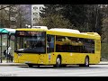 Автобус МАЗ-203 на ост. "2-е Ворота" (Северное кладбище) гос. № АТ 4977-7, марш. №68