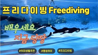 취미생활추천 프리다이빙(freediving) / 평생취미로 추천합니다 [COLORFUL MIND]