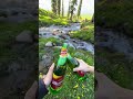 把酒叹平生 (人间半途) 蒋坤炜_926