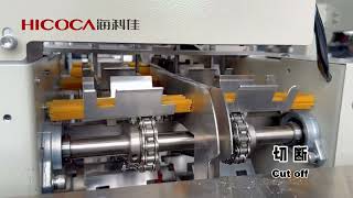 Spaghetti/ Pasta Packing Machine HICOCA
