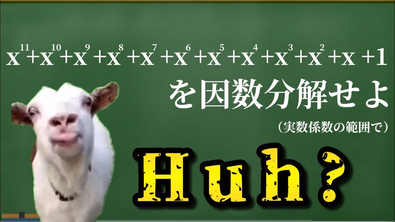【猫ミーム】因数分解をする猫
