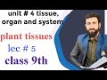 Plant tissues | Urdu Hindi lecture| bio for all