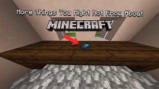 More Things You Might Not Know About Minecraft! | #Shorts​