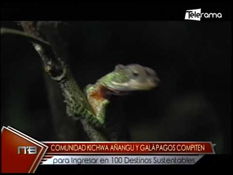 Comunidad Kichwa Añangu y Galápagos compiten para ingresar en 100 destinos sustentables
