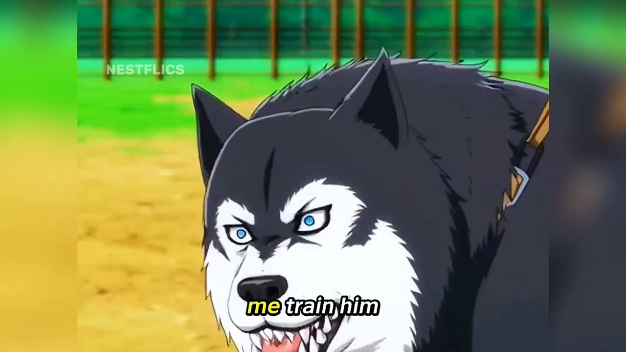 Dog Trainer Can Understand What Dogs Are Saying Full Story 😱 🔥