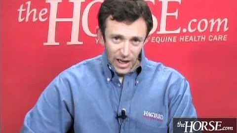 Young Horse Care and Development, Part 1 (Excerpt)