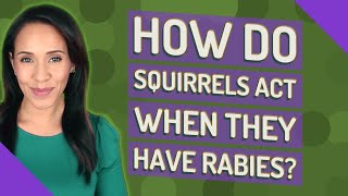 How do squirrels act when they have rabies