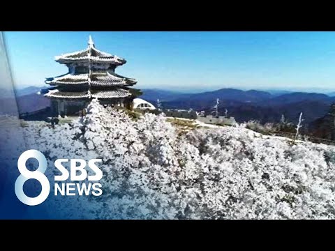 <strong>덕유산</strong> 길목마다 &amp;#39;순백의 세상&amp;#39;…감탄 자아내는 진풍경 / SBS