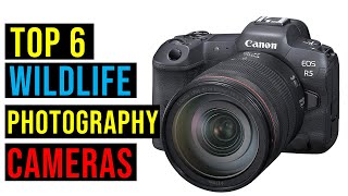✅ Best Camera for Wildlife Photography 2023 - Top 6 Best Camera for Wildlife Photography Review 2023