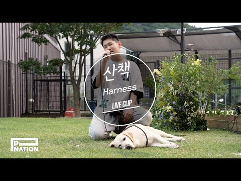 Crush (크러쉬) - ‘산책 (Harness)' Live Clip