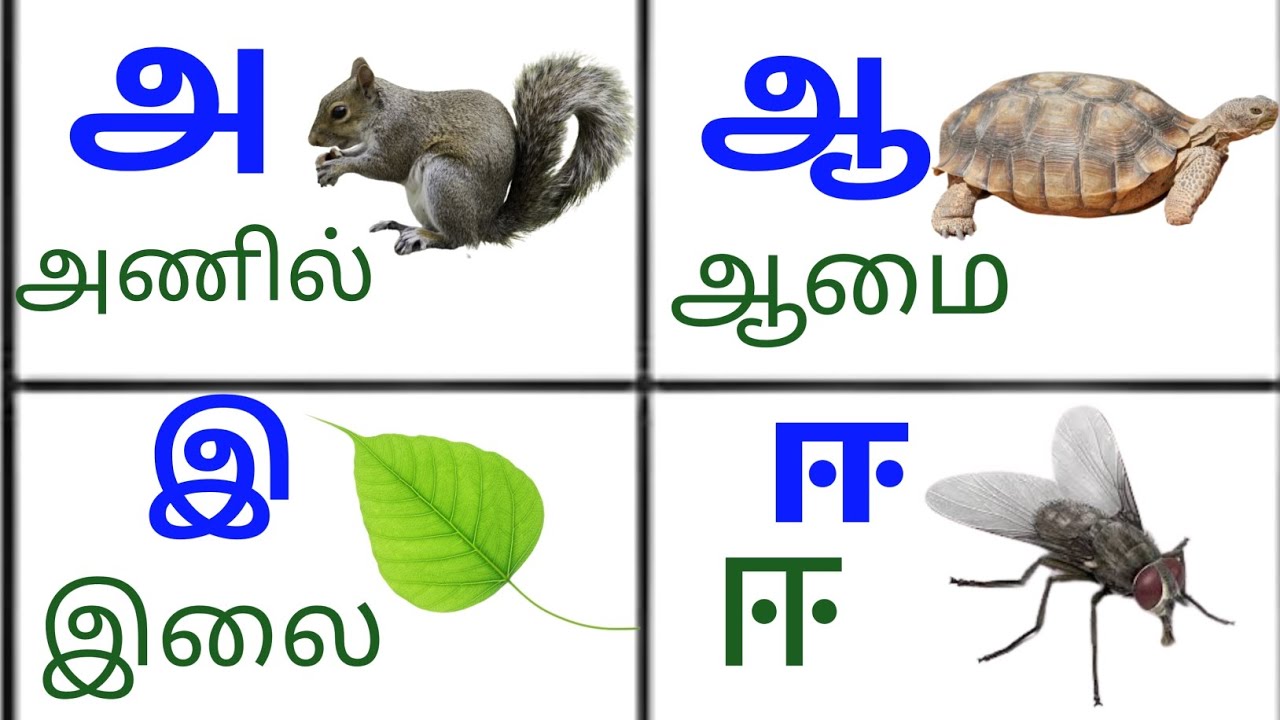 உயிர் எழுத்துக்கள் | அ ஆ இ ஈ வரிசை | Tamil Letters learning | kids ...