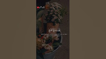 تلاوة خاشعة للشيخ احمد النفيس🎧❤️‍🩹 #اكسبلور #أرح_سمعك_وقلبك #طمئن_قلبك #احمد_النفيس