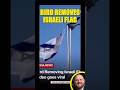 Bird Removes Israeli Flag - Goes Viral