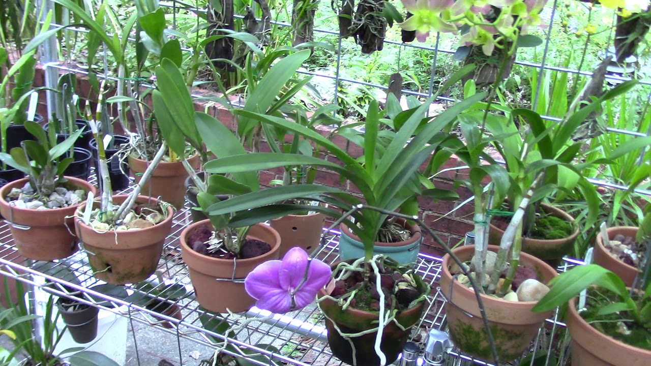 winter grow plans, winter lighting, and nutrients 