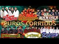 Puros Corridos Pesados - Puros Corridos Chingones - Corridos mix