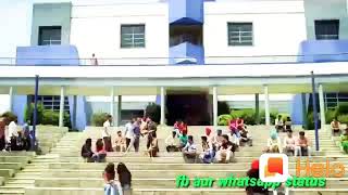 Dil hale beriya ke   mhare kam se kacheriya ke mare asle ka hal kartush warga dadagiri stetus watsap