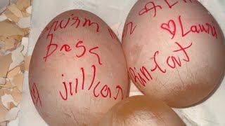 Raw Egg Peeling Challenge 🥚 #125 #tASMR #EggPeeling #OddlySatisfying #Relaxing #Challenge