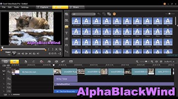 Corel VideoStudio Pro X6 Review And Tutorial