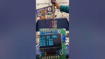 L97 Capacitance Level Transmitter - Whitman Controls