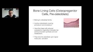 Essentials of Bone Biology and Physiology in Oral and Maxillofacial Surgery