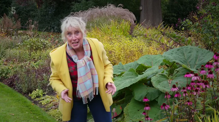 Great British Gardens with Carol Klein S02E03