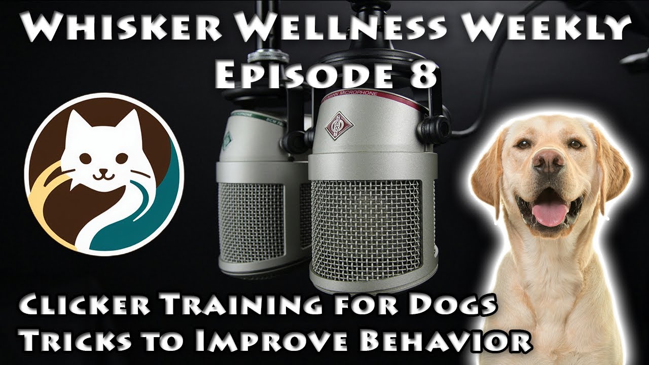 Ep8: Clicker Training for Dogs: Teach Tricks & Improve Behavior with Positive Reinforcement