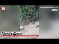 Venezuela: Schweres Erdbeben legt Wohnhaus in Caracas in Trümmer