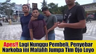 Download lagu Busted!! While Waiting for a Buyer, This Drug Dealer Runs Into the 'Ojo Loyo' Team