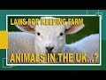 Laws For Keeping Farm Animals & Live Stock Uk - Want To Live on Your land Watch The Whole Video🤔