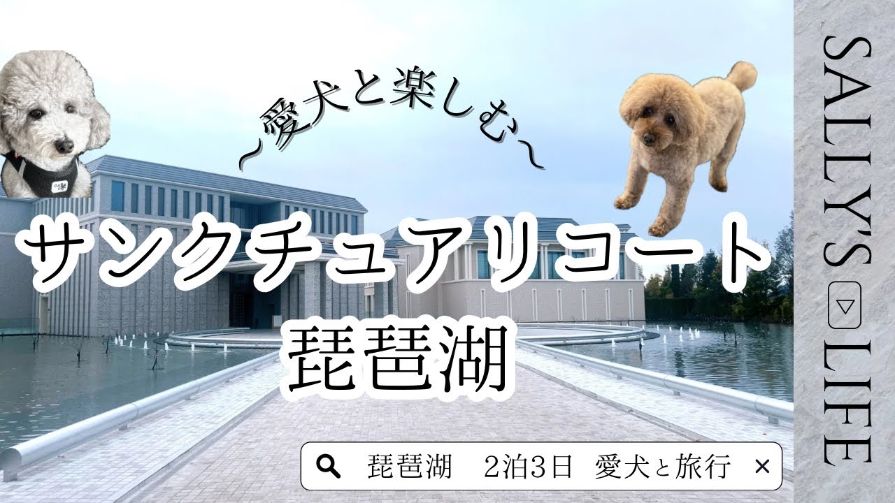 【愛犬と旅行Vlog】新しくオープンしたサンクチュアリコート琵琶湖に愛犬トイプードルとお泊まり旅/토이푸들