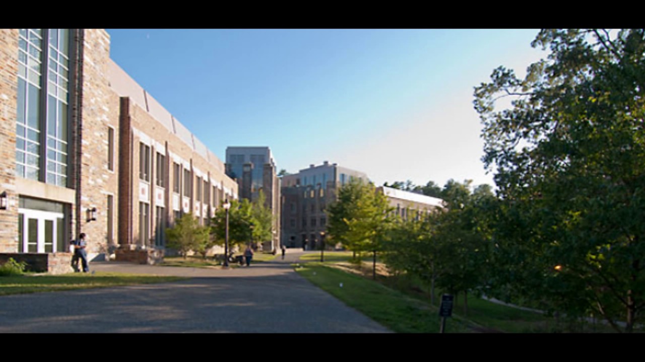 Mitchell Hamline School of law YouTube