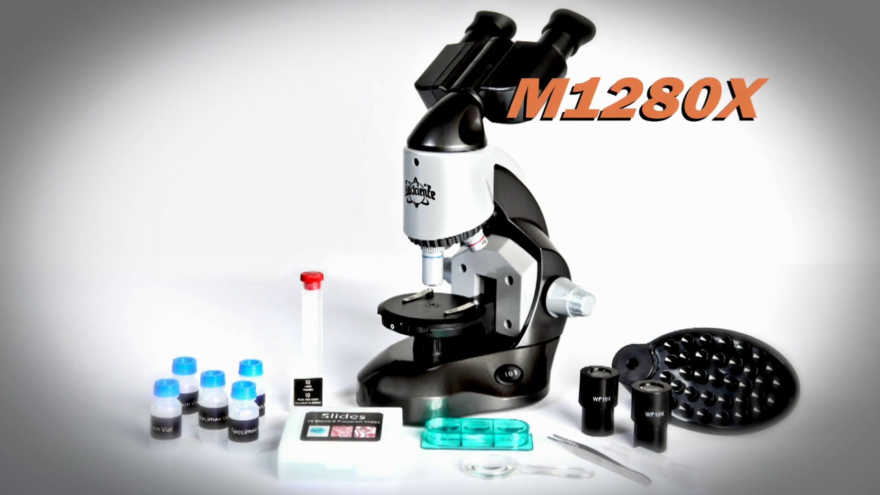 Microscope Toys R Us - Micropedia